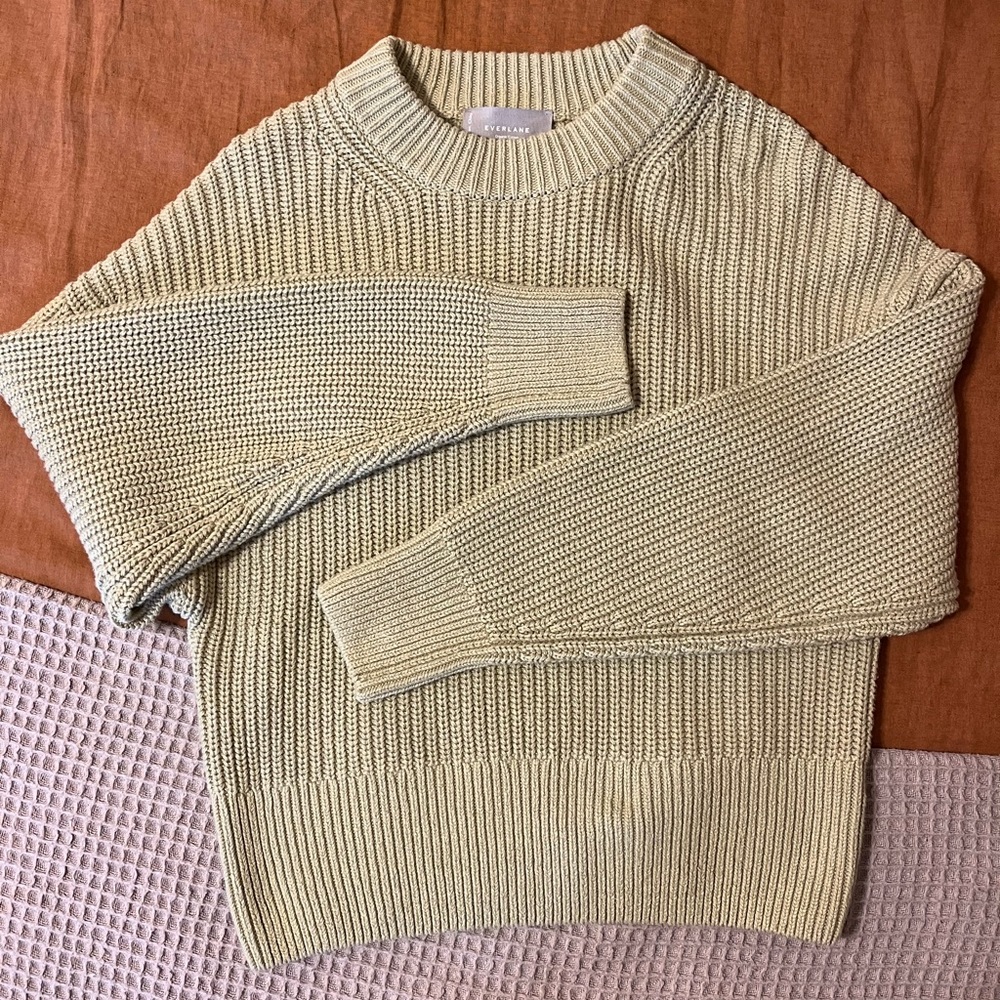 Everlane 100% Cotton Sweater